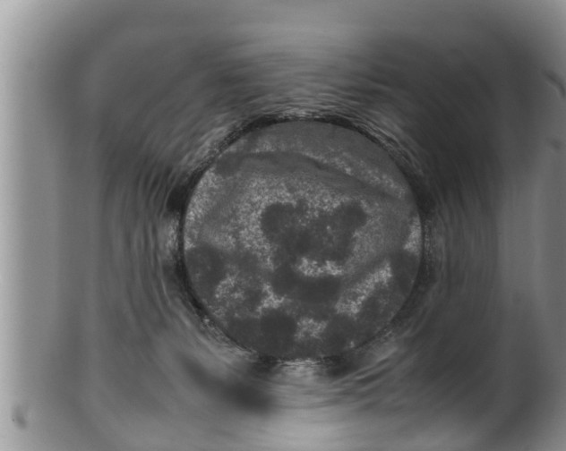 X0000100190127200806201406