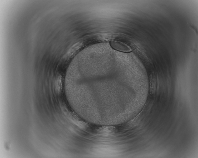 X0000100190128200806201406