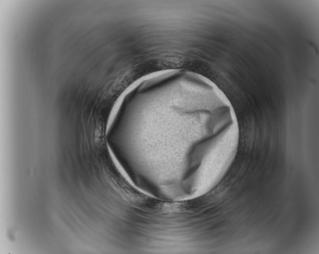 X0000100190134200806201406