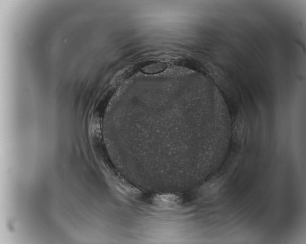 X0000100190137200806201406