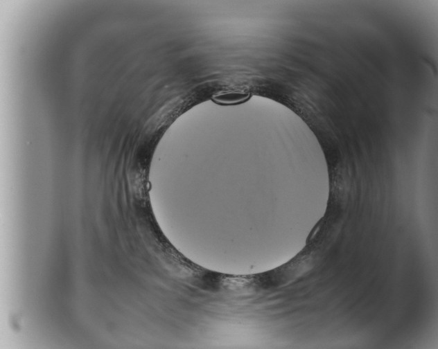 X0000100190139200806201406
