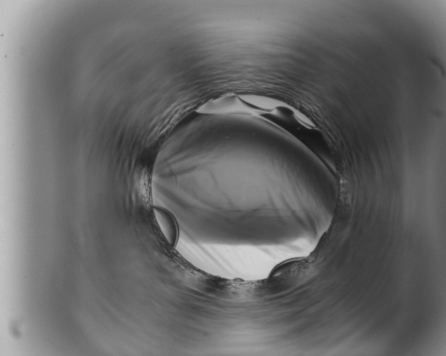 X0000100190143200806201406