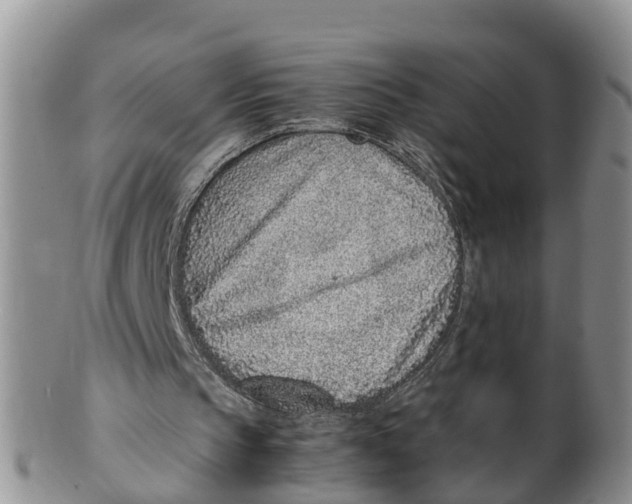X0000100190145200806201405