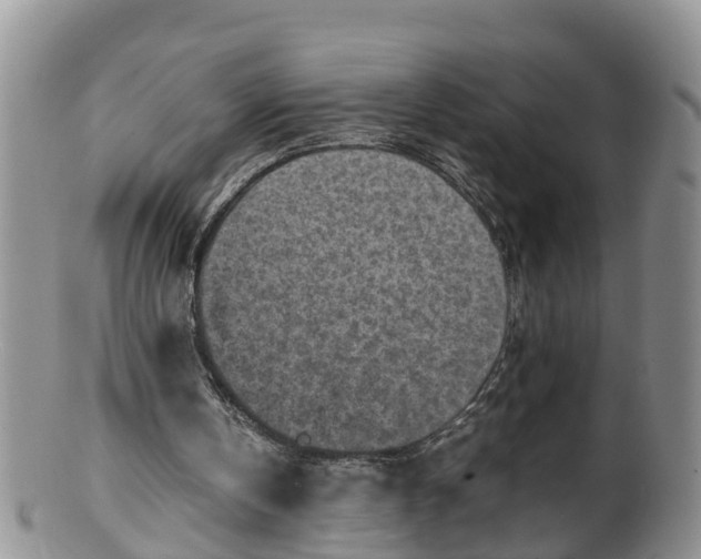 X0000100190146200806201405