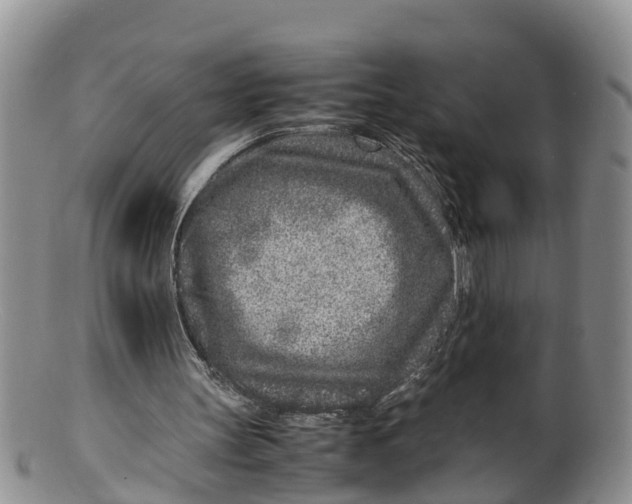 X0000100190147200806201405