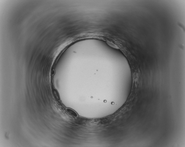 X0000100190148200806201405