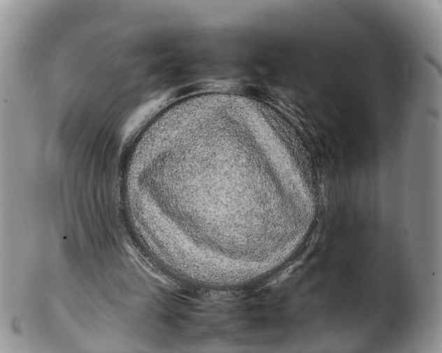 X0000100190149200806201405