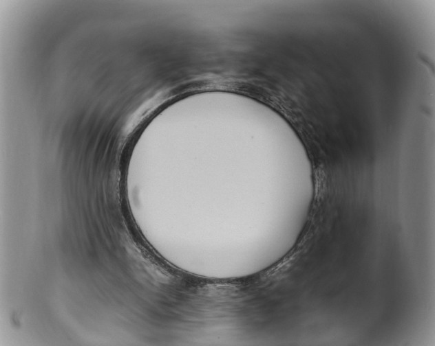 X0000100190150200806201405