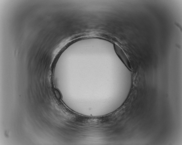 X0000100190152200806201405