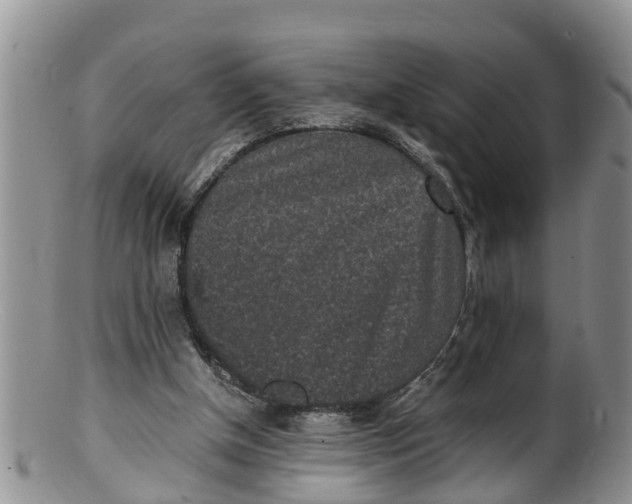 X0000100190154200806201405
