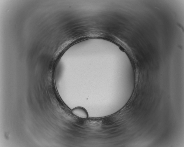 X0000100190155200806201405