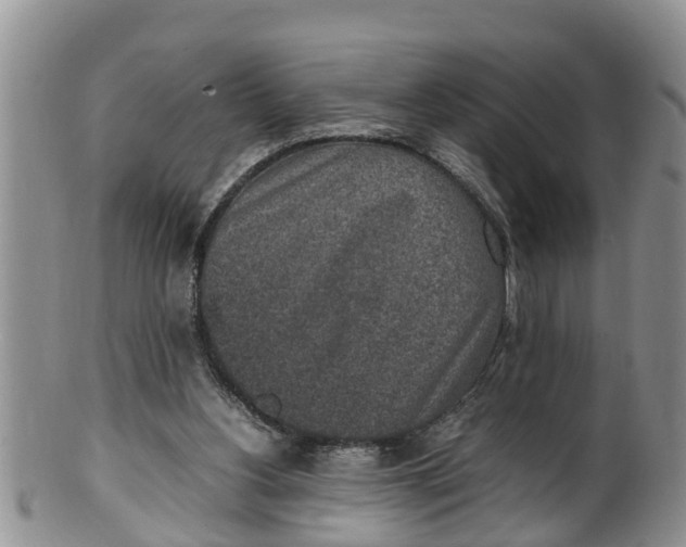 X0000100190156200806201405