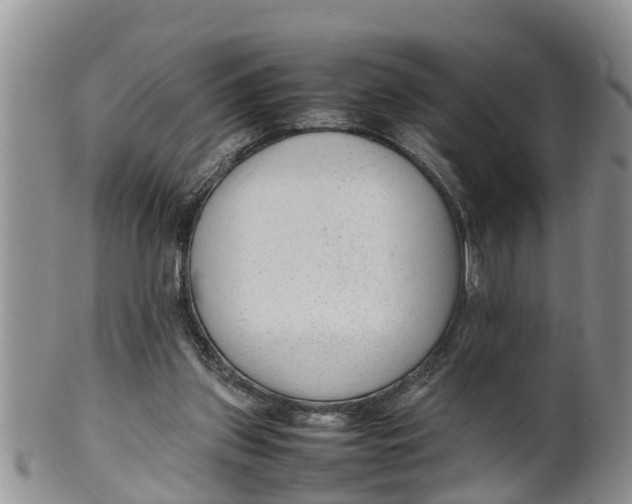 X0000100190157200806201406