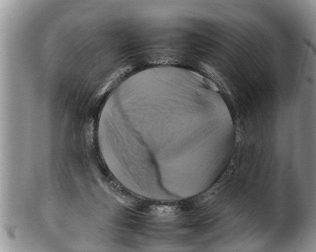 X0000100190163200806201406