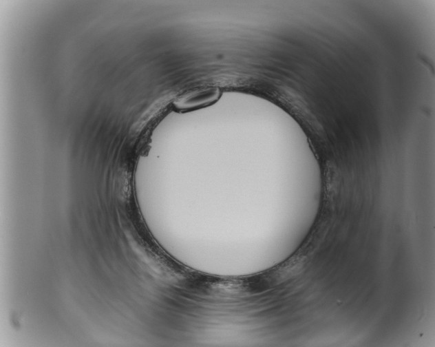 X0000100190164200806201406