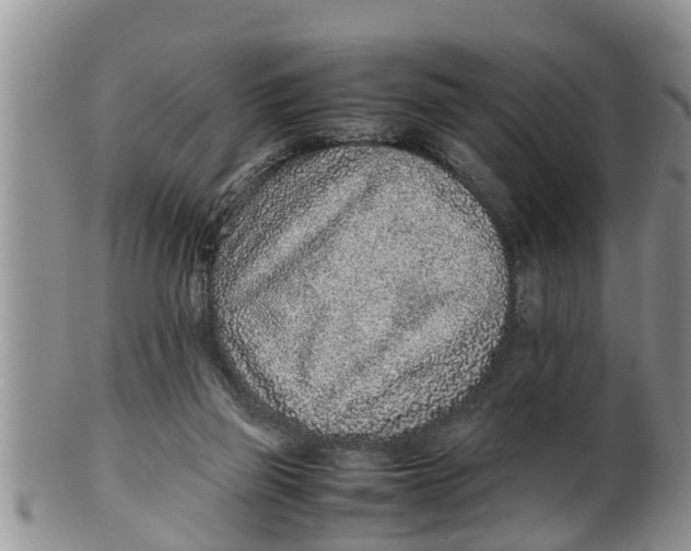 X0000100190165200806201406