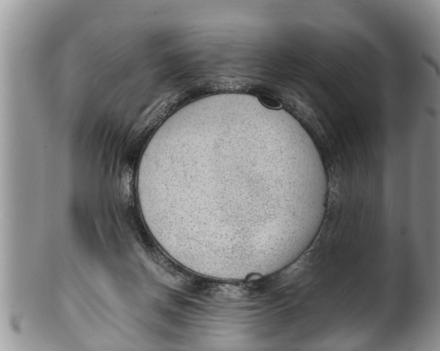 X0000100190166200806201406