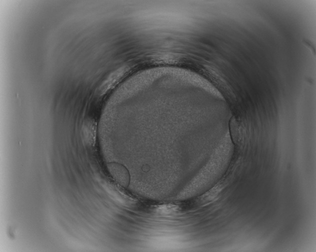 X0000100190168200806201406