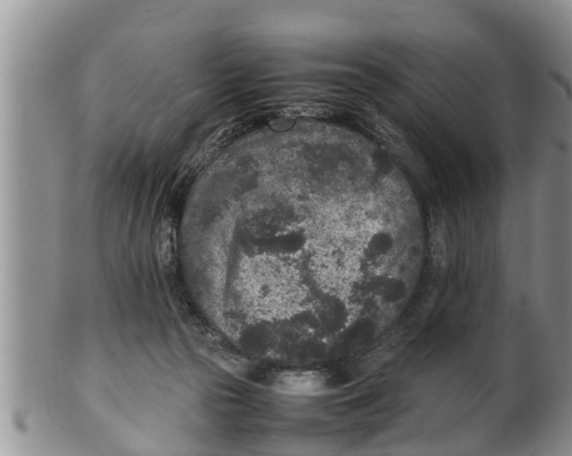 X0000100190169200806201406