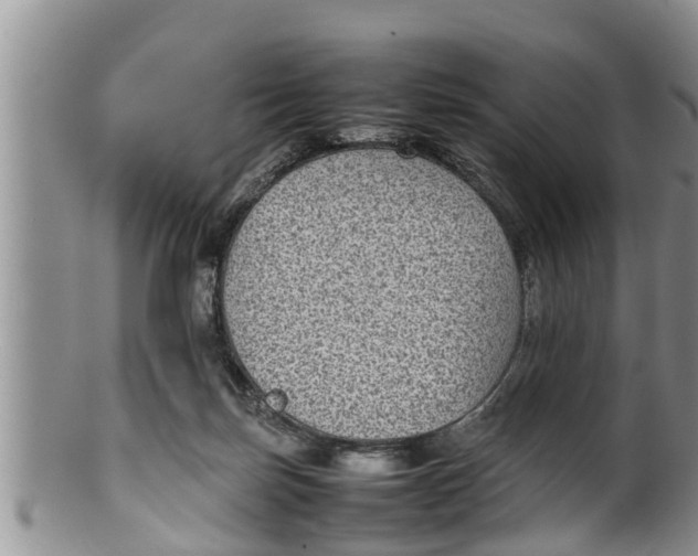 X0000100190171200806201406