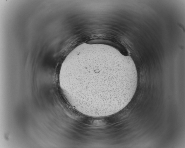 X0000100190173200806201406