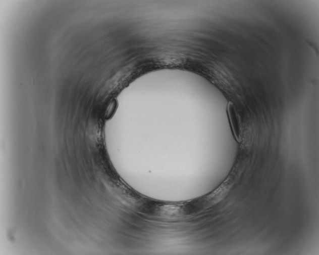 X0000100190176200806201406