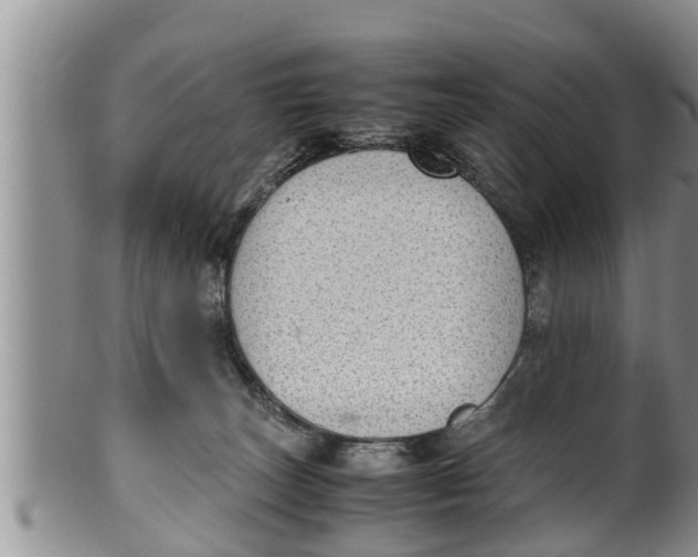 X0000100190179200806201406