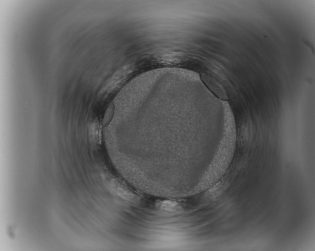 X0000100190180200806201406