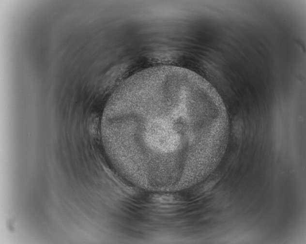 X0000100190181200806201406
