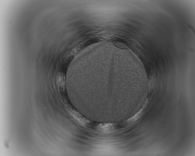 X0000100190186200806201406
