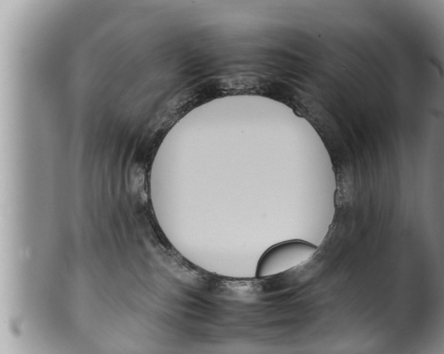 X0000100190187200806201406