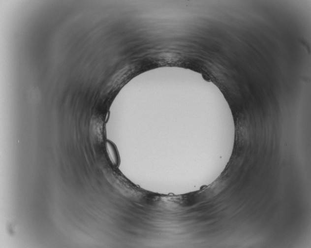 X0000100190188200806201406