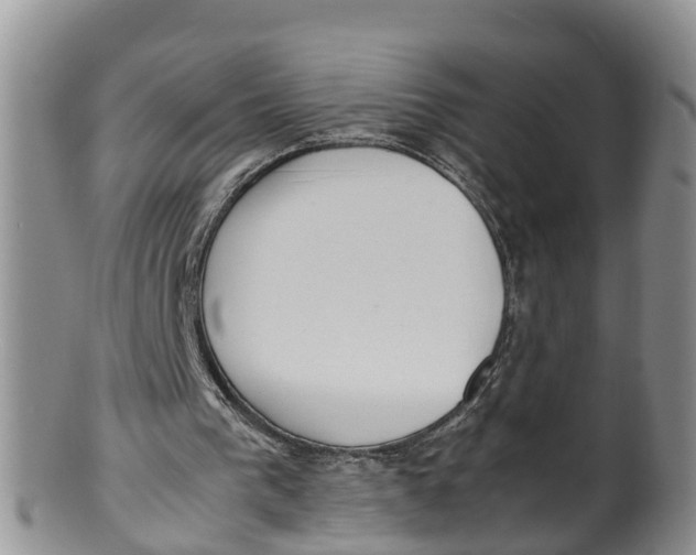 X0000100190193200806201405