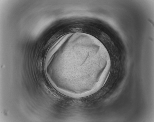 X0000100190194200806201405