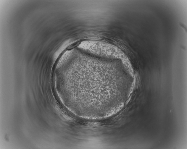 X0000100190195200806201405