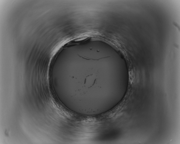 X0000100190196200806201405