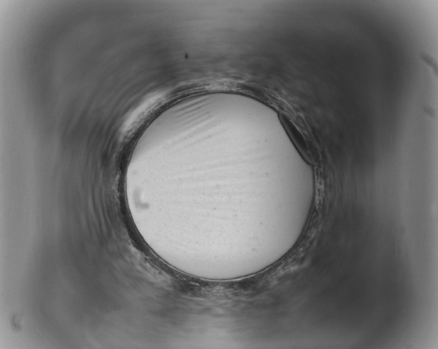 X0000100190197200806201405