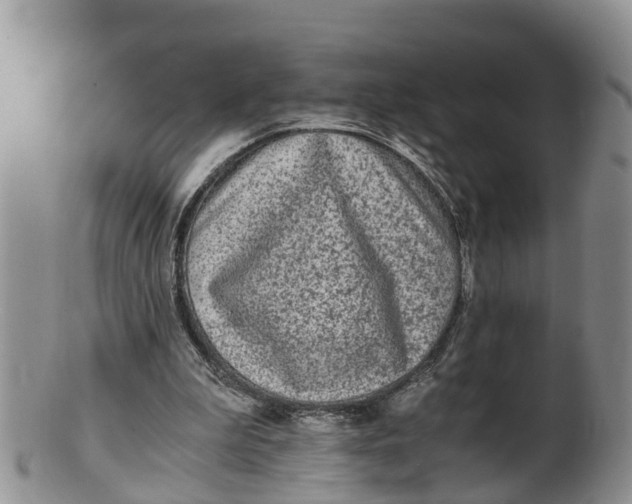 X0000100190199200806201405