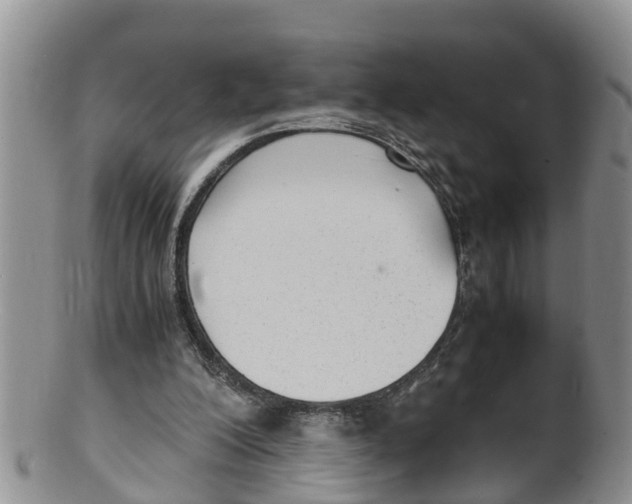 X0000100190200200806201405