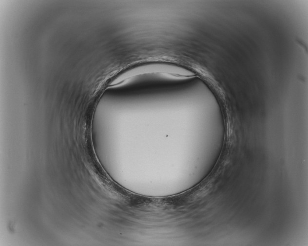 X0000100190201200806201405