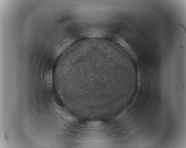X0000100190202200806201405