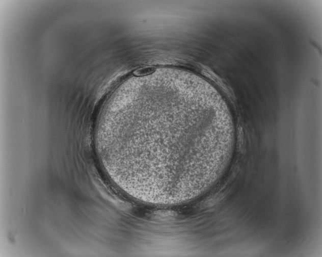 X0000100190203200806201405