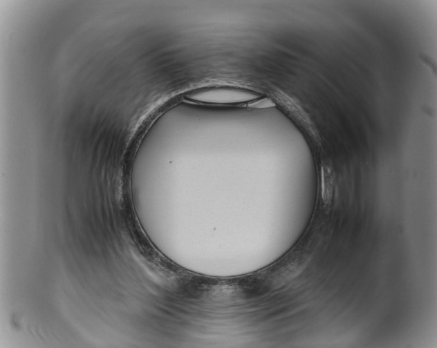 X0000100190204200806201405
