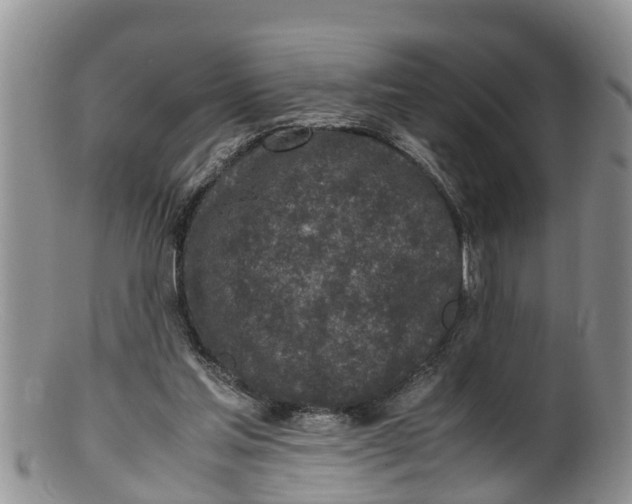 X0000100190205200806201405