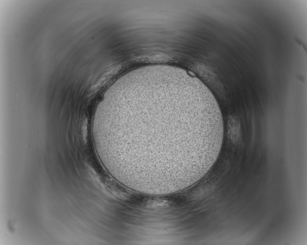 X0000100190206200806201405