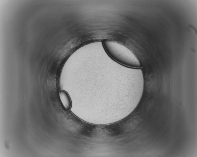 X0000100190207200806201405
