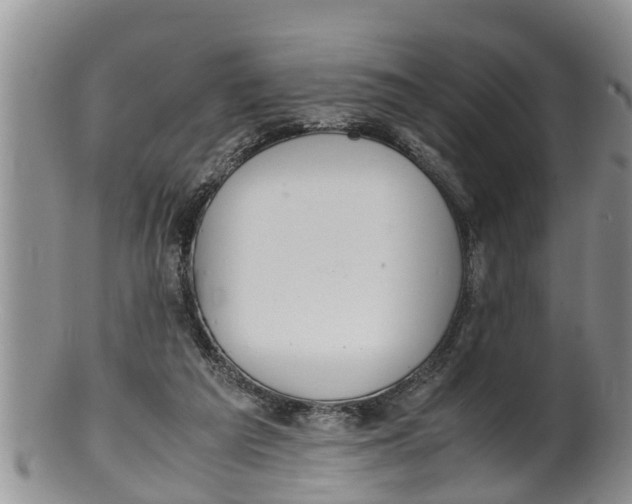 X0000100190209200806201405