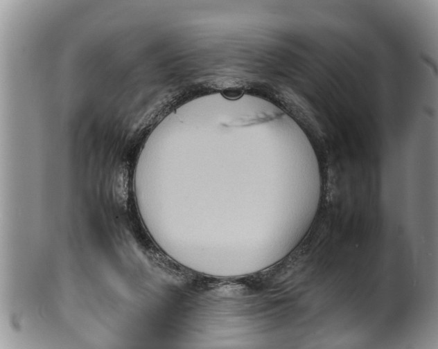 X0000100190210200806201405