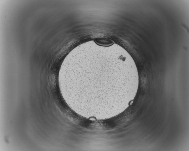 X0000100190211200806201405