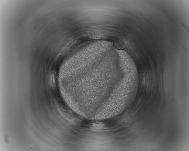 X0000100190214200806201405